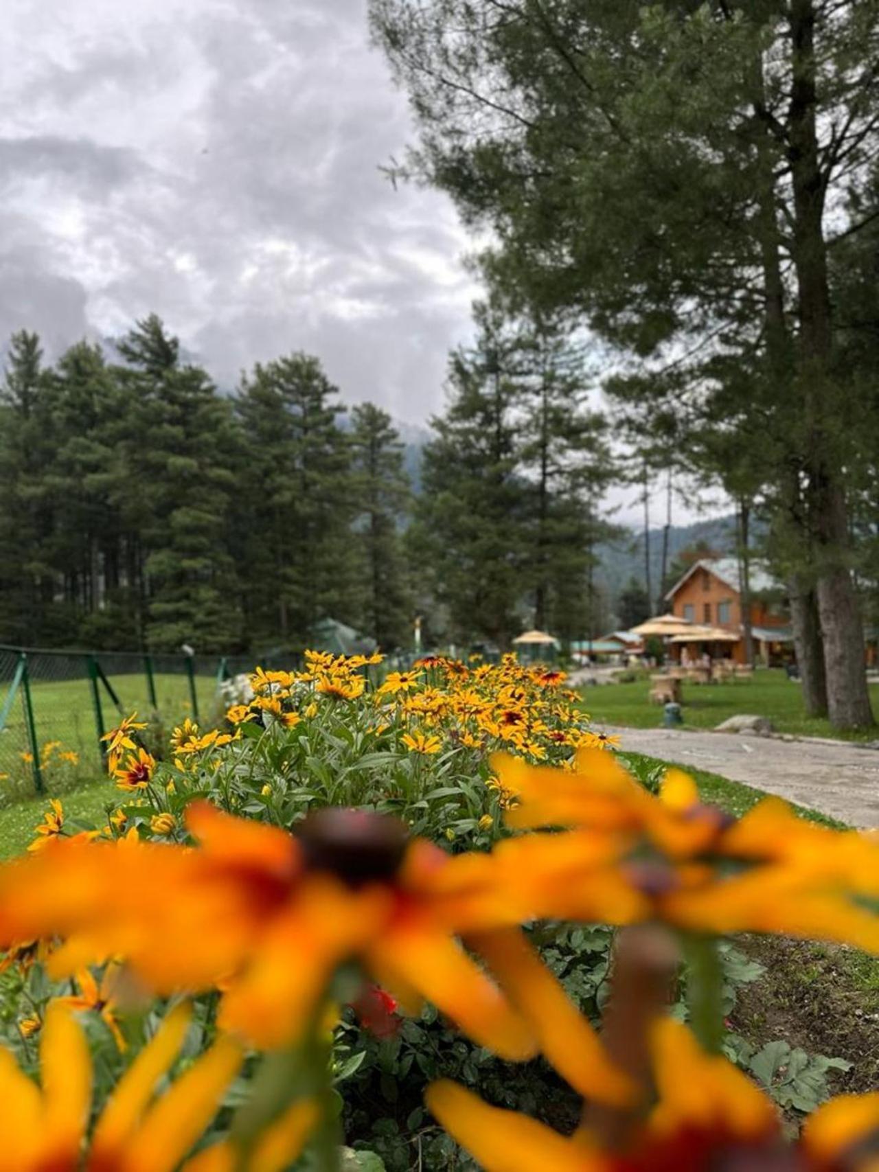Radisson Golf Pahalgam